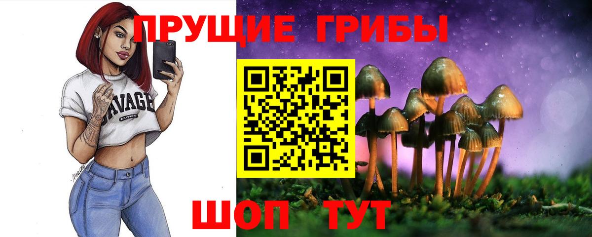 Ртищево  Псилоцибиновые грибы Psilocybe  Вход с VPN 